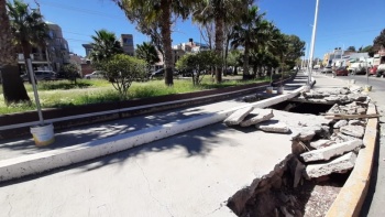 Dañadas por humedad bóvedas en La Purísima