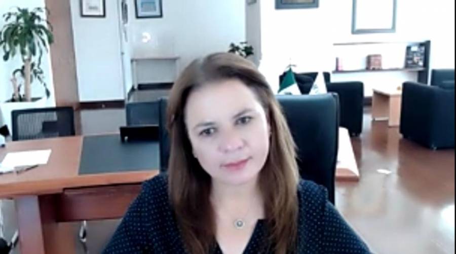 Trabajaremos con los ayuntamientos: Julieta del Río