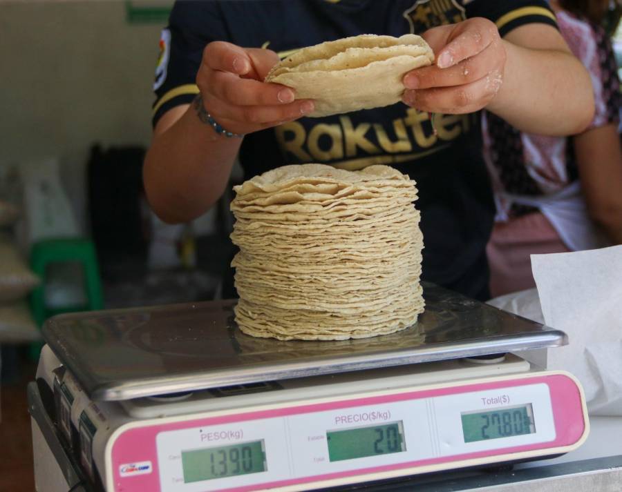Precio del kilogramo de tortilla, a nivel nunca antes visto