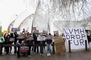 Ambientalistas lanzan pintura a la Fundación Louis Vuitton en Francia