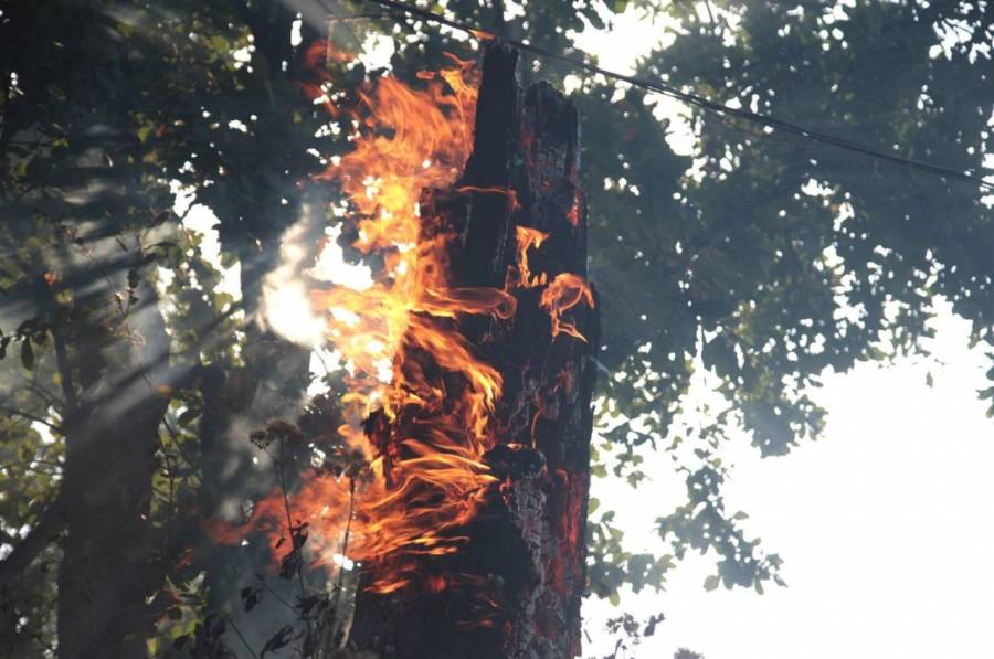 Estabilizado el gran incendio que quemó miles de hectáreas en oeste de España