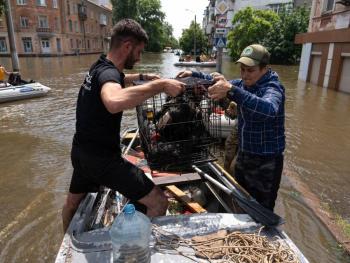 Lucha para salvar animales de inundaciones en ciudad ucraniana de Jersoacuten
